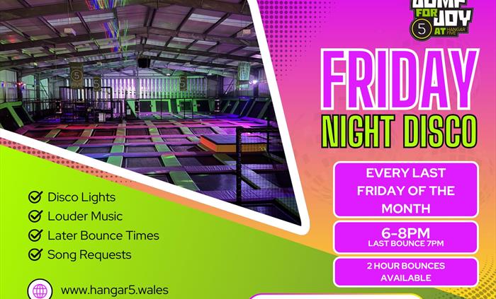 Friday Night Disco